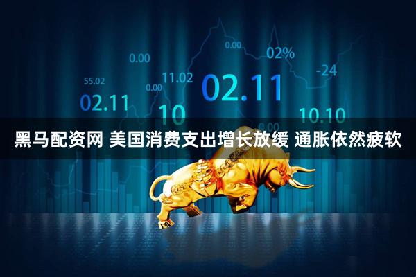 黑马配资网 美国消费支出增长放缓 通胀依然疲软